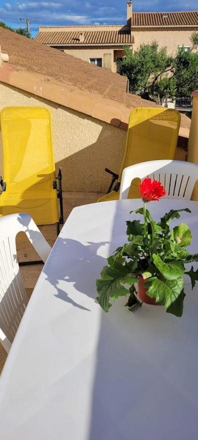 Appartement Agreable Et Spacieux Ensoleille Valros Zewnętrze zdjęcie